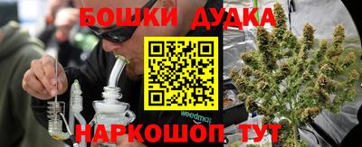 сатива Будённовск