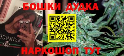 сатива Будённовск