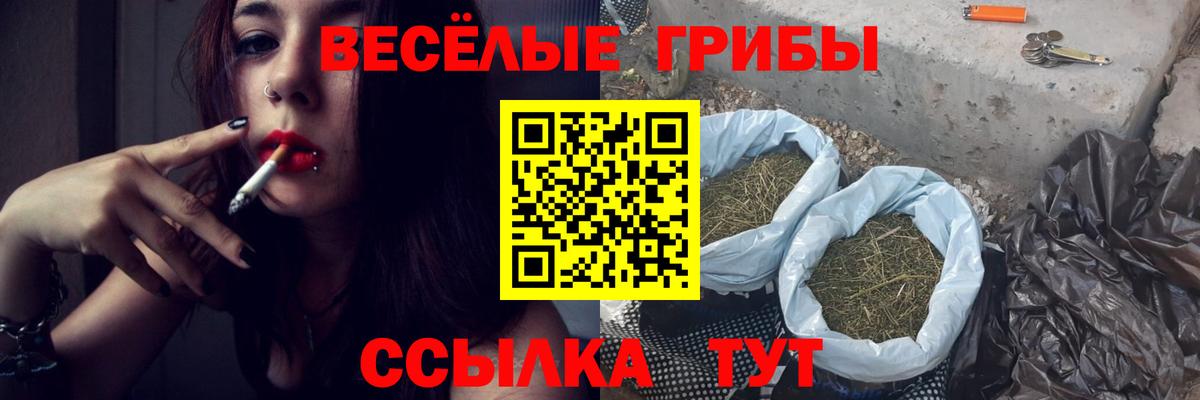 Саров  Галлюциногенные грибы MAGIC MUSHROOMS  Вход с VPN 